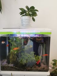 -康谛尔健康管理机构