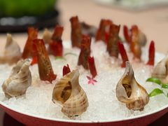 -虹之森·小馆