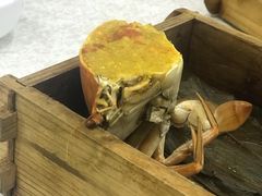 -三辣馆