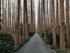 -上海怡沁园度假酒店