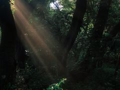 -清源山美食·云顶文化创意园