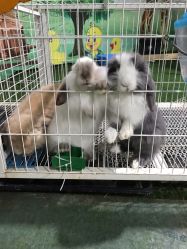 -喜宝时光儿童城