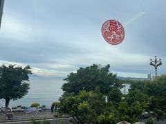 -野菌皇海景野生菌火锅(滨海大道店)