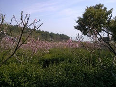 android_upload_pic-太湖渔洋山