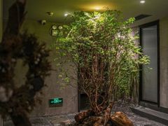 -森SPA·泰式按摩·精油Massage(宝安中心店)