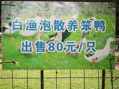 -白渔泡湿地公园