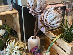 -dotcom coffee古点咖啡(致真大厦店)