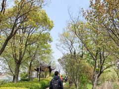 -杭州湾海上花田景区