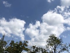 -牛岗山公园