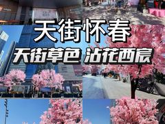 -首开·龙湖成都西宸天街