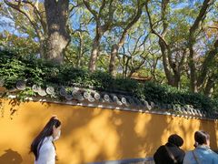 -普陀山风景名胜区-法雨禅寺