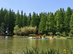 -黄海国家森林公园