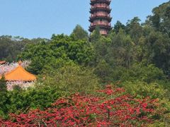 -南沙天后宫景区