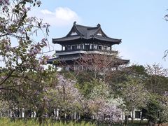 -海珠湖公园