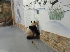 -无锡动物园·太湖欢乐园