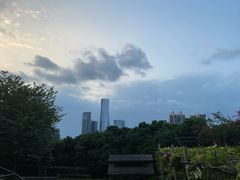 -青青世界