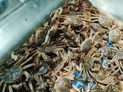 -鑫海汇海鲜烤肉自助(北国商城店)