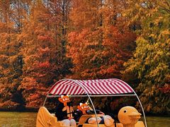 -上海海湾国家森林公园