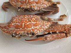 -视界美食自助餐厅·石家庄希尔顿酒店