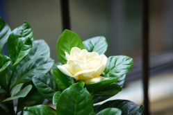 -Oasis Beauty水磨坊科技美肤中心