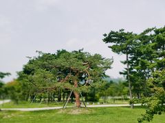 -景福宫