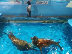 -梦幻海洋王国(吾悦广场张家港店)