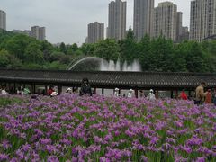 -龙头寺公园