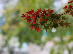-樽宴酒楼·地道川菜·品质宴请