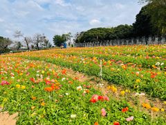 -松山湖梦幻百花洲