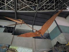 -湖南省地质博物馆