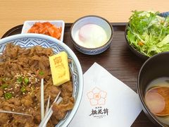 -桃花丼烧肉饭(凯丹商场店)