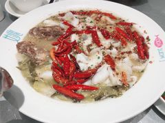 -姚姚酸菜鱼·金戈戈香港豉油鸡(喜荟城联名店)