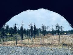 -瓦屋山景区