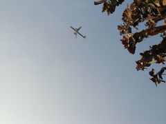 景点-空港花田景区