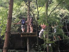 -梦幻奥陶纪景区