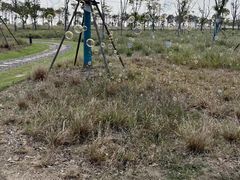 -春花秋色城市公园