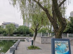 -聚龙湖公园