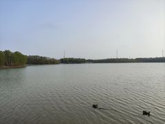 -上海海湾国家森林公园