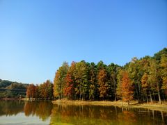 -青龙山国家森林公园