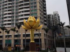 -金莲花广场