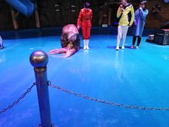 -烟台海昌鲸鲨海洋公园