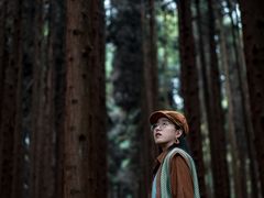 -武陵山森林公园