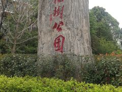 -神仙树公园