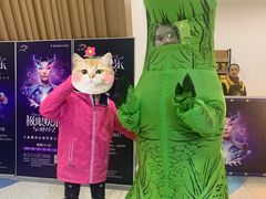 -重庆国际马戏城