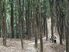 -火炉山森林公园