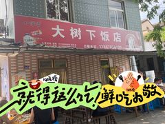 -大树下饭店(春晓镇慈岙社区卫生服务站南)