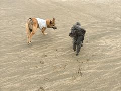 -东海半边山旅游度假区