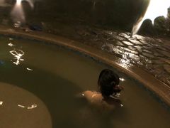 -金汤湾海水温泉度假酒店