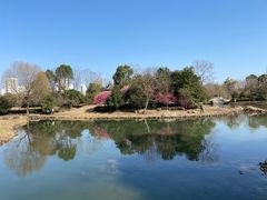 -石湖景区