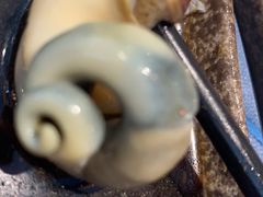 -鹭江潮餐厅•福建菜(鹭江佲家酒店)